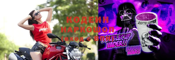 индика Волосово