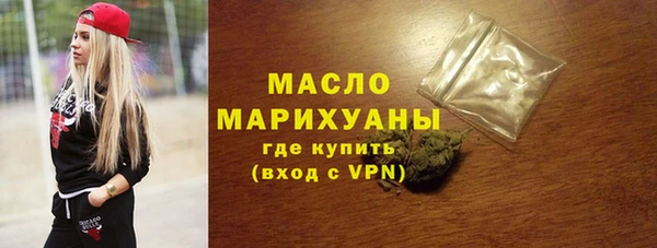 индика Волосово