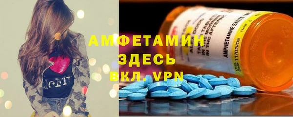 индика Волосово