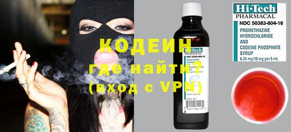 индика Волосово