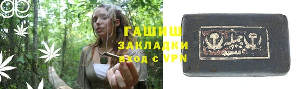 индика Волосово