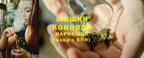 индика Волосово