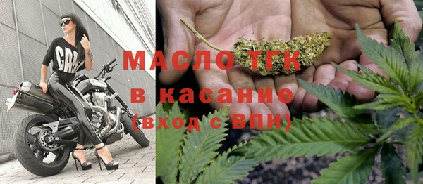 индика Волосово