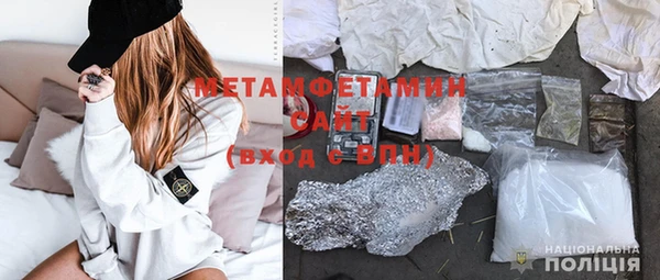 индика Волосово