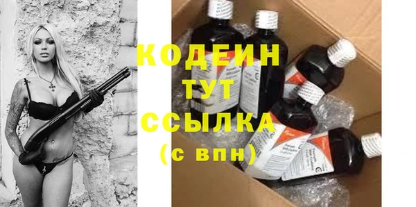 индика Волосово